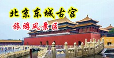 换妻老外太大中国北京-东城古宫旅游风景区